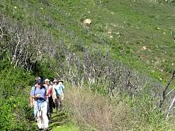 IMG_6462.jpg