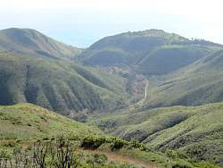 IMG_6472.jpg