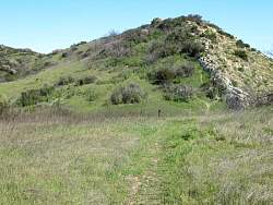 IMG_7197.jpg