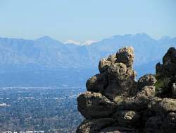 IMG_7215.jpg
