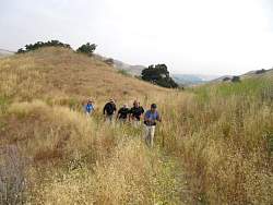 IMG_9511.jpg