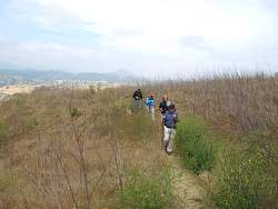 IMG_9517.jpg