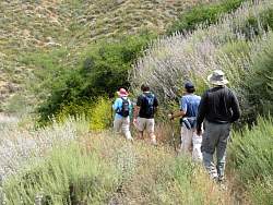 IMG_9534.jpg