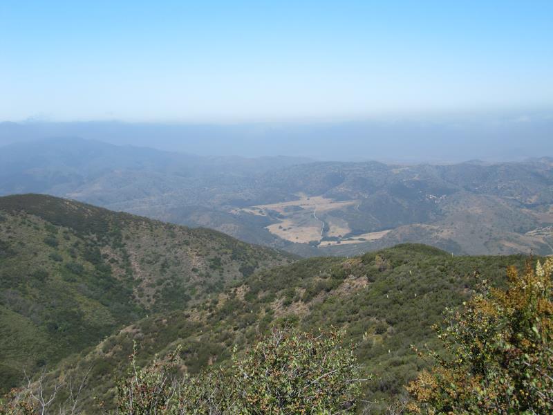 IMG_9686.jpg