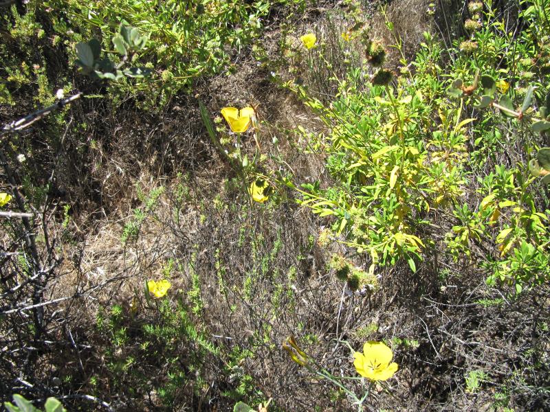 IMG_9756.jpg