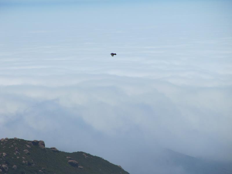 IMG_9827.jpg