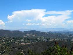 IMG_0954.jpg