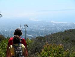 IMG_0964.jpg