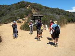 IMG_0971.jpg
