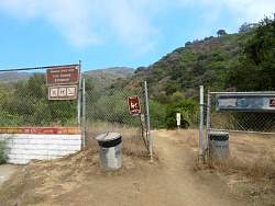 IMG_1239.jpg