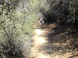 IMG_1260.jpg