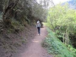 IMG_1270.jpg