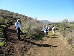 IMG_1878.jpg