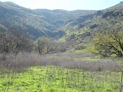 IMG_1885.jpg