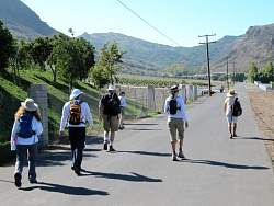 IMG_1892.jpg