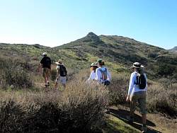IMG_1905.jpg