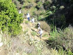 IMG_1924.jpg