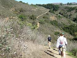IMG_1935.jpg