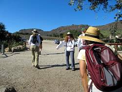 IMG_1945.jpg