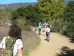 IMG_2024.jpg