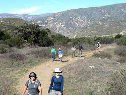 IMG_2038.jpg