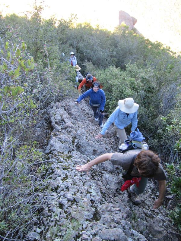 IMG_2146.jpg