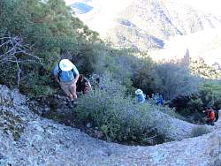 IMG_2141.jpg