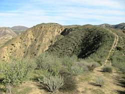 IMG_2335.jpg