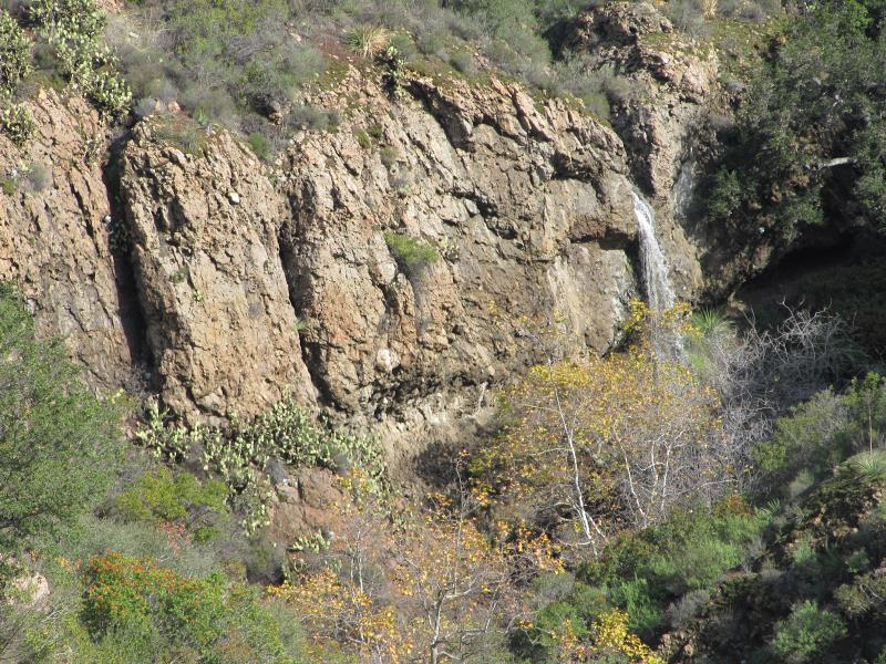 IMG_2589.jpg