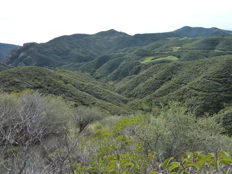 P1050915.jpg