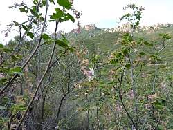 P1050912.jpg