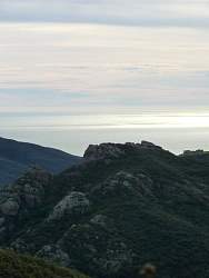 P1050913.jpg