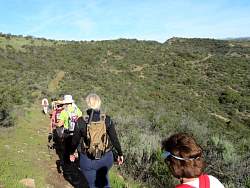 IMG_2967.jpg
