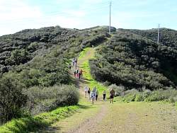 IMG_2978.jpg