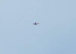 IMG_3118Adj.jpg