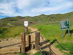 IMG_3129.jpg