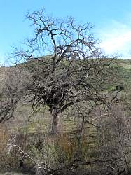 IMG_3600.jpg