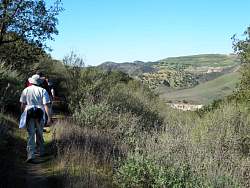IMG_3674.jpg