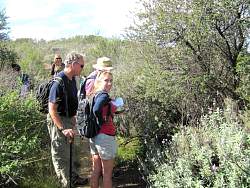 IMG_3732.jpg