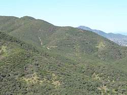 IMG_4140.jpg