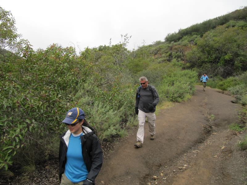 IMG_4383.jpg