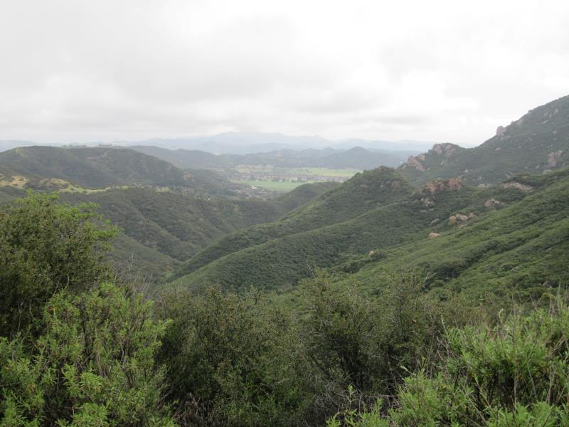 IMG_4405.jpg