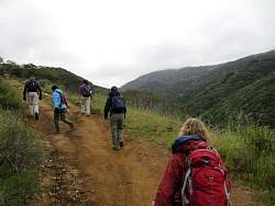 IMG_4382.jpg