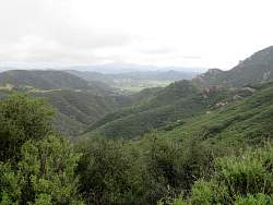 IMG_4405.jpg