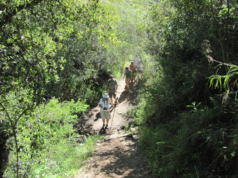 IMG_4630.jpg