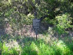 IMG_4606.jpg