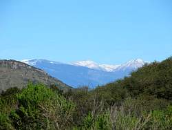 IMG_4624.jpg
