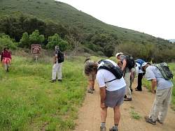 IMG_4766.jpg