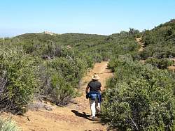 IMG_5436.jpg