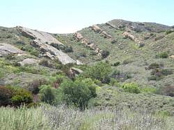 IMG_5648.jpg